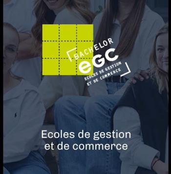 Vidéo réseau Bachelor EGC 